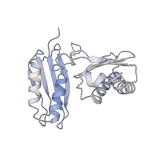 22345_7jil_h_v1-2
70S ribosome Flavobacterium johnsoniae
