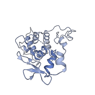 22345_7jil_i_v1-2
70S ribosome Flavobacterium johnsoniae