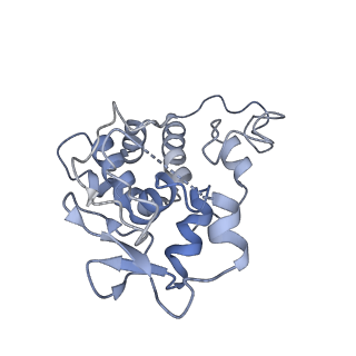 22345_7jil_i_v2-0
70S ribosome Flavobacterium johnsoniae