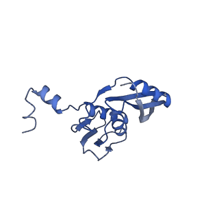 22345_7jil_j_v1-2
70S ribosome Flavobacterium johnsoniae