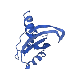22345_7jil_k_v1-2
70S ribosome Flavobacterium johnsoniae