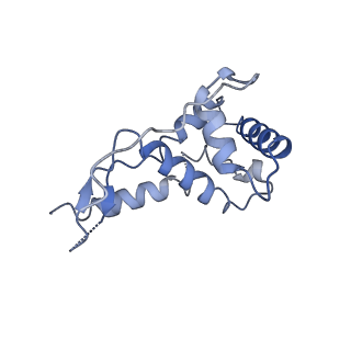 22345_7jil_l_v1-2
70S ribosome Flavobacterium johnsoniae
