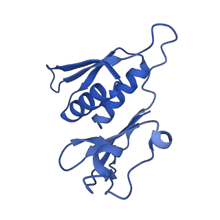 22345_7jil_m_v1-2
70S ribosome Flavobacterium johnsoniae