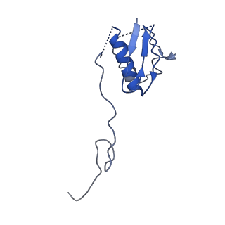 22345_7jil_n_v1-2
70S ribosome Flavobacterium johnsoniae