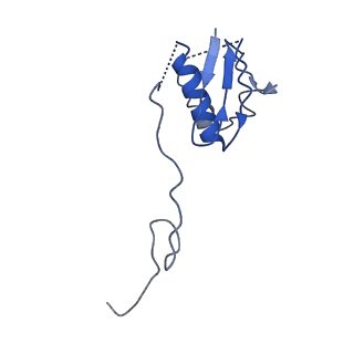 22345_7jil_n_v2-0
70S ribosome Flavobacterium johnsoniae