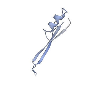 22345_7jil_o_v1-2
70S ribosome Flavobacterium johnsoniae