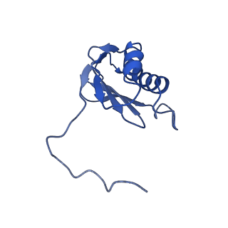 22345_7jil_p_v1-2
70S ribosome Flavobacterium johnsoniae