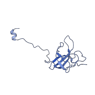 22345_7jil_q_v1-2
70S ribosome Flavobacterium johnsoniae