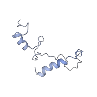 22345_7jil_s_v1-2
70S ribosome Flavobacterium johnsoniae