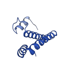 22345_7jil_t_v1-2
70S ribosome Flavobacterium johnsoniae