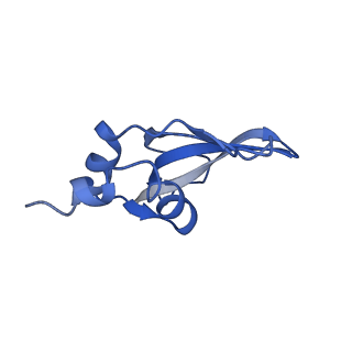 22345_7jil_u_v1-2
70S ribosome Flavobacterium johnsoniae