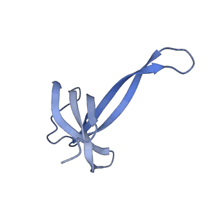 22345_7jil_v_v1-2
70S ribosome Flavobacterium johnsoniae