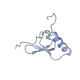 22345_7jil_x_v1-2
70S ribosome Flavobacterium johnsoniae