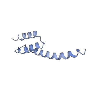 22345_7jil_y_v1-2
70S ribosome Flavobacterium johnsoniae