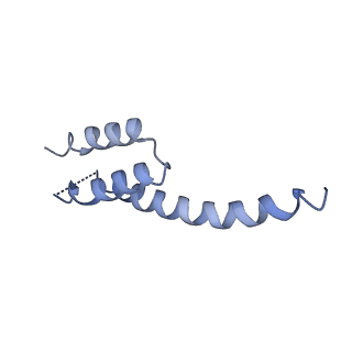 22345_7jil_y_v2-0
70S ribosome Flavobacterium johnsoniae