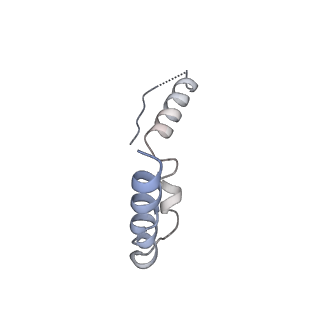 22345_7jil_z_v1-2
70S ribosome Flavobacterium johnsoniae