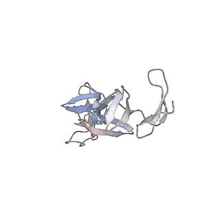 36303_8ji0_A_v1-0
Cryo-EM structure of the TcsH-CROP in complex with TMPRSS2