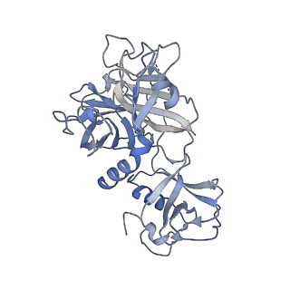 36303_8ji0_B_v1-0
Cryo-EM structure of the TcsH-CROP in complex with TMPRSS2