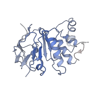 36304_8jia_A_v1-1
Cryo-EM structure of Mycobacterium tuberculosis ATP bound FtsE(E165Q)X/RipC complex in peptidisc