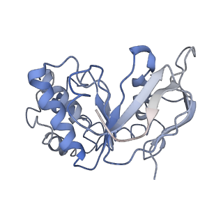 36304_8jia_B_v1-1
Cryo-EM structure of Mycobacterium tuberculosis ATP bound FtsE(E165Q)X/RipC complex in peptidisc
