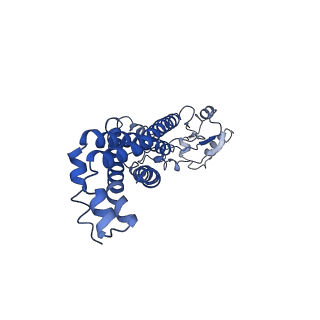 36304_8jia_C_v1-1
Cryo-EM structure of Mycobacterium tuberculosis ATP bound FtsE(E165Q)X/RipC complex in peptidisc