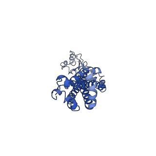 36304_8jia_D_v1-1
Cryo-EM structure of Mycobacterium tuberculosis ATP bound FtsE(E165Q)X/RipC complex in peptidisc