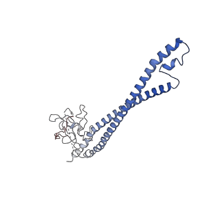 36304_8jia_E_v1-1
Cryo-EM structure of Mycobacterium tuberculosis ATP bound FtsE(E165Q)X/RipC complex in peptidisc