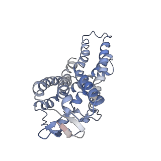 36312_8jii_A_v1-1
Cryo-EM structure of compound 9n and niacin bound ketone body receptor HCAR2-Gi signaling complex