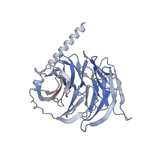 36312_8jii_B_v1-1
Cryo-EM structure of compound 9n and niacin bound ketone body receptor HCAR2-Gi signaling complex