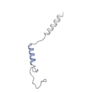 36312_8jii_C_v1-1
Cryo-EM structure of compound 9n and niacin bound ketone body receptor HCAR2-Gi signaling complex