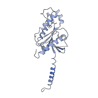 36312_8jii_D_v1-1
Cryo-EM structure of compound 9n and niacin bound ketone body receptor HCAR2-Gi signaling complex