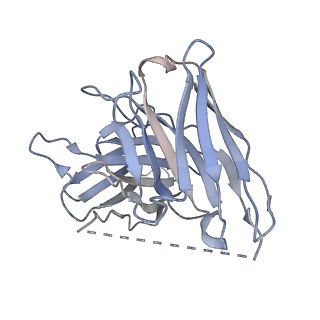 36312_8jii_S_v1-1
Cryo-EM structure of compound 9n and niacin bound ketone body receptor HCAR2-Gi signaling complex