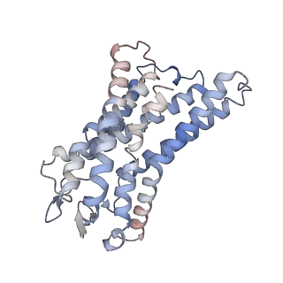 36317_8jil_A_v1-1
Cryo-EM structure of niacin bound ketone body receptor HCAR2-Gi signaling complex