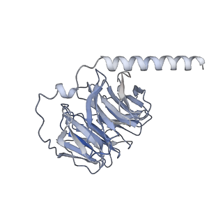 36317_8jil_B_v1-1
Cryo-EM structure of niacin bound ketone body receptor HCAR2-Gi signaling complex