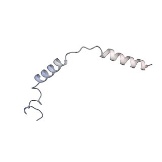 36317_8jil_C_v1-1
Cryo-EM structure of niacin bound ketone body receptor HCAR2-Gi signaling complex