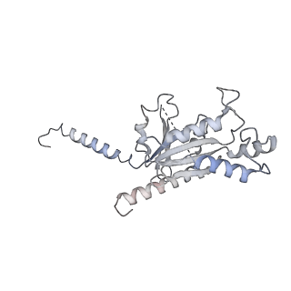 36317_8jil_D_v1-1
Cryo-EM structure of niacin bound ketone body receptor HCAR2-Gi signaling complex