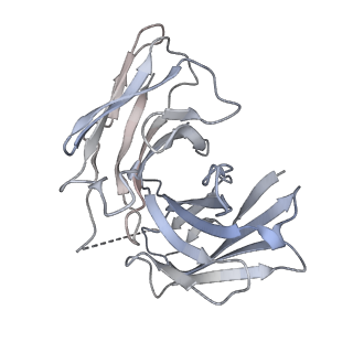 36317_8jil_S_v1-1
Cryo-EM structure of niacin bound ketone body receptor HCAR2-Gi signaling complex