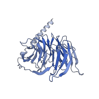 36318_8jim_B_v1-1
Cryo-EM structure of MMF bound ketone body receptor HCAR2-Gi signaling complex