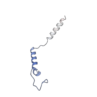 36318_8jim_C_v1-1
Cryo-EM structure of MMF bound ketone body receptor HCAR2-Gi signaling complex