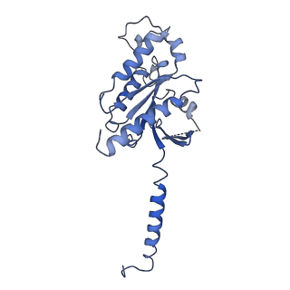 36318_8jim_D_v1-1
Cryo-EM structure of MMF bound ketone body receptor HCAR2-Gi signaling complex