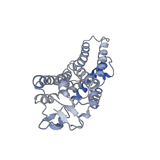 36318_8jim_E_v1-1
Cryo-EM structure of MMF bound ketone body receptor HCAR2-Gi signaling complex