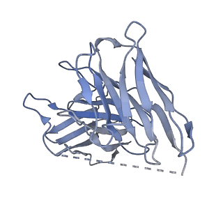 36318_8jim_S_v1-1
Cryo-EM structure of MMF bound ketone body receptor HCAR2-Gi signaling complex