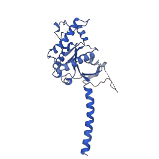 36323_8jip_A_v1-0
Cryo-EM structure of the GLP-1R/GCGR dual agonist MEDI0382-bound human GLP-1R-Gs complex