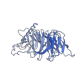 36323_8jip_B_v1-0
Cryo-EM structure of the GLP-1R/GCGR dual agonist MEDI0382-bound human GLP-1R-Gs complex