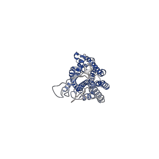 36323_8jip_R_v1-0
Cryo-EM structure of the GLP-1R/GCGR dual agonist MEDI0382-bound human GLP-1R-Gs complex