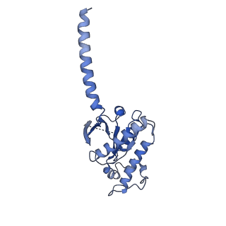 36324_8jiq_A_v1-0
Cryo-EM structure of the GLP-1R/GCGR dual agonist Peptide 15-bound human GCGR-Gs complex