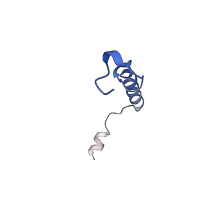 36324_8jiq_C_v1-0
Cryo-EM structure of the GLP-1R/GCGR dual agonist Peptide 15-bound human GCGR-Gs complex
