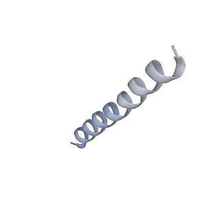 36324_8jiq_E_v1-0
Cryo-EM structure of the GLP-1R/GCGR dual agonist Peptide 15-bound human GCGR-Gs complex