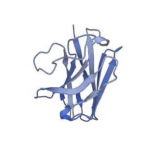 36324_8jiq_N_v1-0
Cryo-EM structure of the GLP-1R/GCGR dual agonist Peptide 15-bound human GCGR-Gs complex