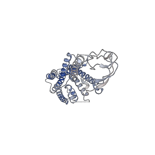 36324_8jiq_R_v1-0
Cryo-EM structure of the GLP-1R/GCGR dual agonist Peptide 15-bound human GCGR-Gs complex